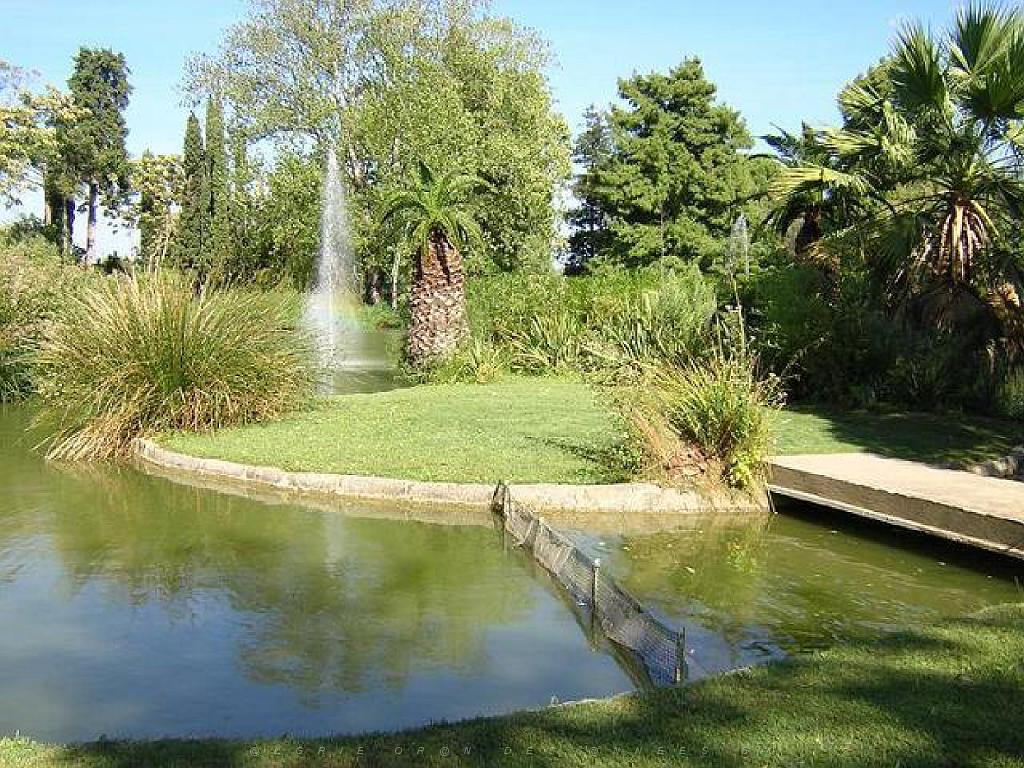 183 D35 PARC OLBIUS RIQUIER A HYERES_000026.jpg
